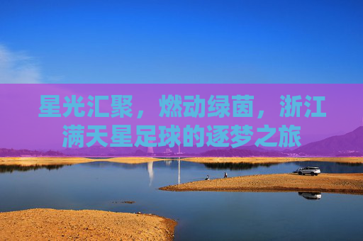 星光汇聚,燃动绿茵,浙江满天星足球的逐梦之旅