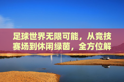足球世界无限可能,从竞技赛场到休闲绿茵,全方位解析足球活动形式