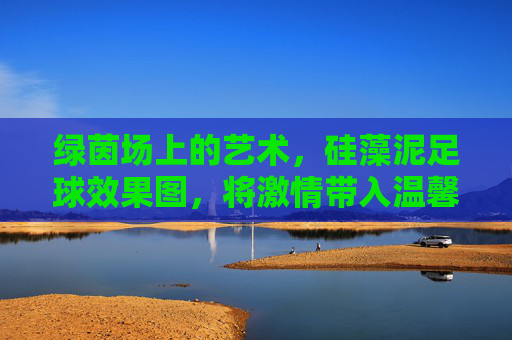 绿茵场上的艺术,硅藻泥足球效果图,将激情带入温馨家园