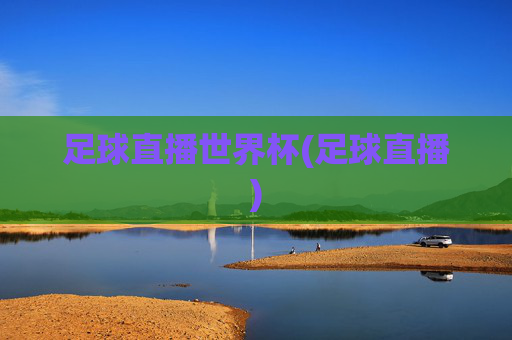 足球直播世界杯(足球直播)