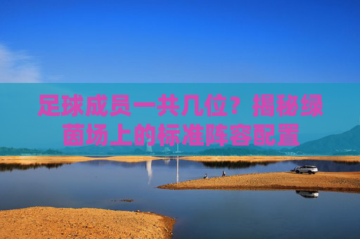 足球成员一共几位?揭秘绿茵场上的标准阵容配置