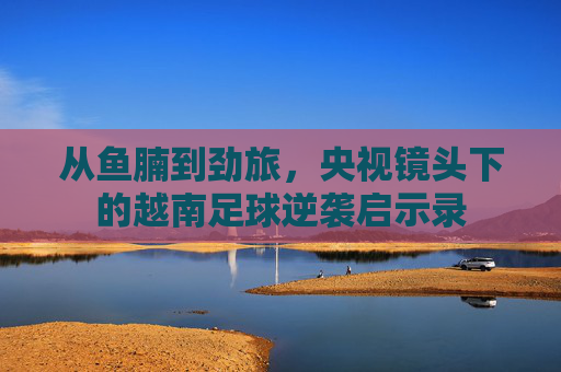 从鱼腩到劲旅，央视镜头下的越南足球逆袭启示录