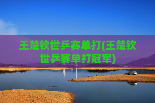 王楚钦世乒赛单打(王楚钦世乒赛单打冠军)