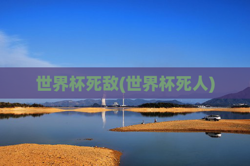 世界杯死敌(世界杯死人)