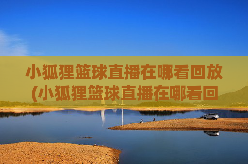 小狐狸篮球直播在哪看回放(小狐狸篮球直播在哪看回放啊)