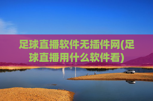 足球直播软件无插件网(足球直播用什么软件看)