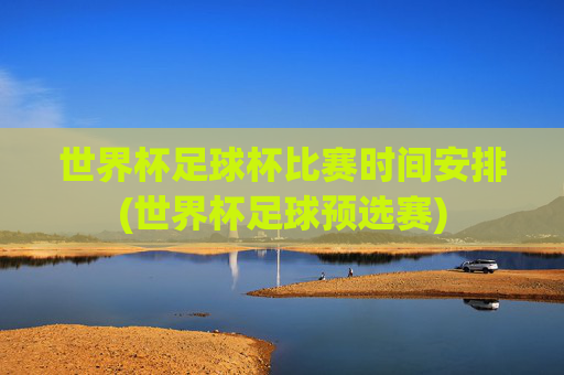 世界杯足球杯比赛时间安排(世界杯足球预选赛)