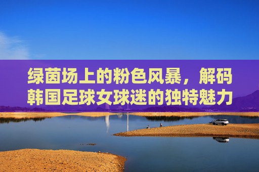 绿茵场上的粉色风暴,解码韩国足球女球迷的独特魅力