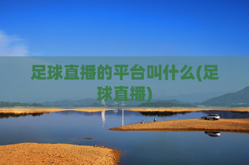 足球直播的平台叫什么(足球直播)