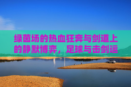 绿茵场的热血狂奔与剑道上的静默博弈,足球与击剑运动的对话