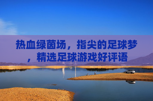 热血绿茵场,指尖的足球梦,精选足球游戏好评语