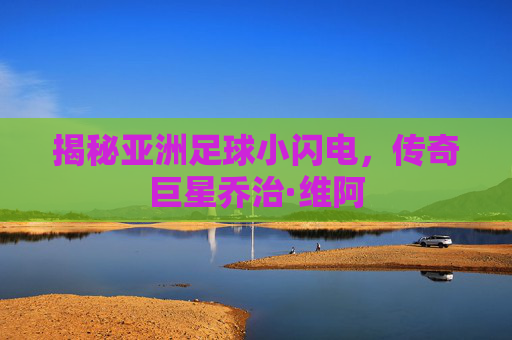 揭秘亚洲足球小闪电,传奇巨星乔治·维阿