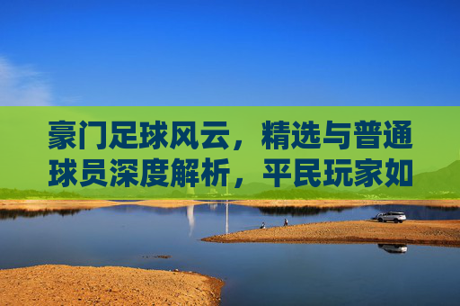 豪门足球风云,精选与普通球员深度解析,平民玩家如何选择?