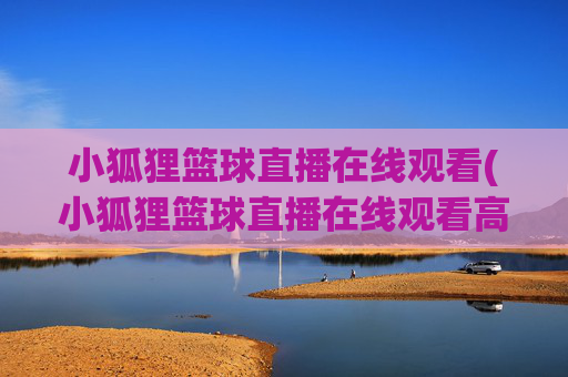 小狐狸篮球直播在线观看(小狐狸篮球直播在线观看高清)