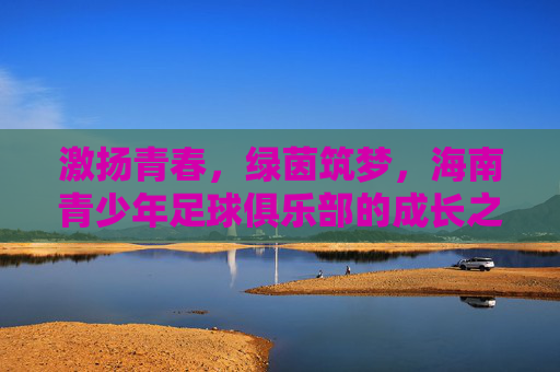 激扬青春,绿茵筑梦,海南青少年足球俱乐部的成长之路