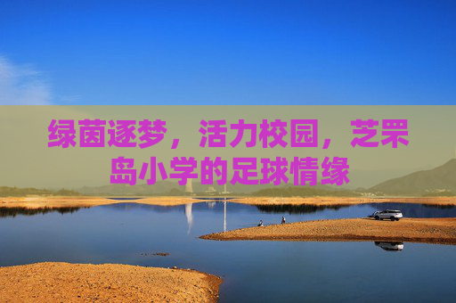 绿茵逐梦,活力校园,芝罘岛小学的足球情缘