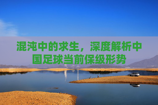 混沌中的求生,深度解析中国足球当前保级形势