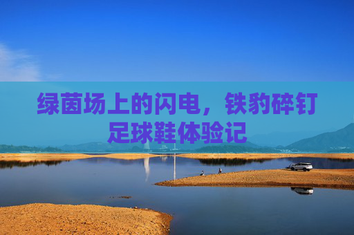 绿茵场上的闪电，铁豹碎钉足球鞋体验记