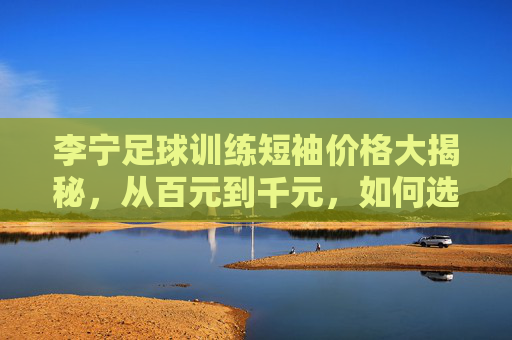 李宁足球训练短袖价格大揭秘，从百元到千元，如何选到性价比之王？