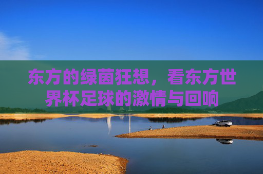 东方的绿茵狂想,看东方世界杯足球的激情与回响