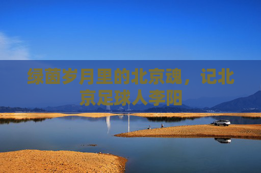 绿茵岁月里的北京魂,记北京足球人李阳