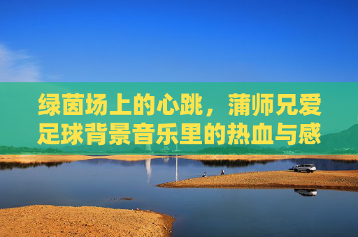 绿茵场上的心跳,蒲师兄爱足球背景音乐里的热血与感动