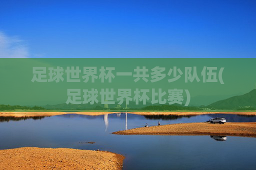 足球世界杯一共多少队伍(足球世界杯比赛)