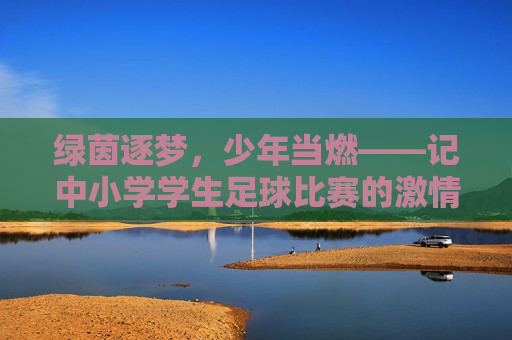 绿茵逐梦,少年当燃——记中小学学生足球比赛的激情与成长