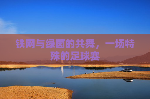 铁网与绿茵的共舞,一场特殊的足球赛