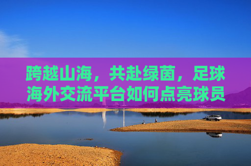 跨越山海,共赴绿茵,足球海外交流平台如何点亮球员梦想