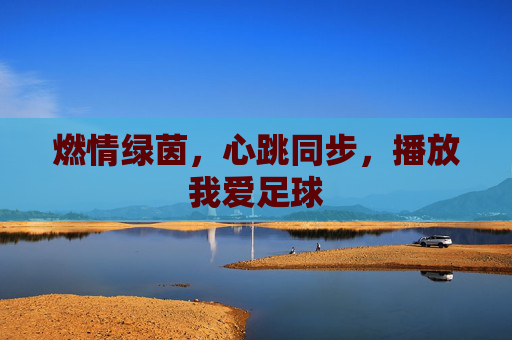 燃情绿茵,心跳同步,播放我爱足球