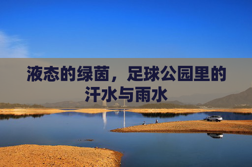 液态的绿茵,足球公园里的汗水与雨水