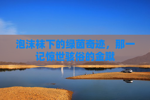 泡沫袜下的绿茵奇迹,那一记惊世骇俗的金蹴