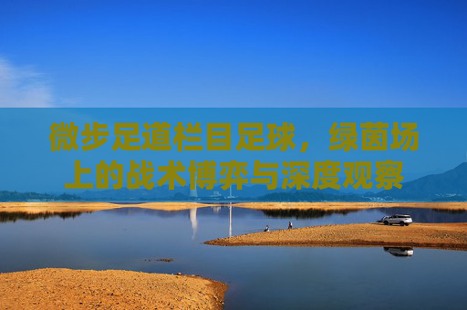 微步足道栏目足球，绿茵场上的战术博弈与深度观察
