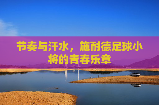 节奏与汗水,施耐德足球小将的青春乐章