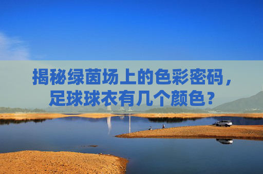 揭秘绿茵场上的色彩密码,足球球衣有几个颜色?