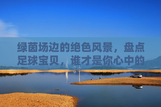 绿茵场边的绝色风景,盘点足球宝贝,谁才是你心中的最美?