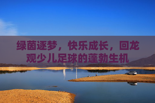 绿茵逐梦,快乐成长,回龙观少儿足球的蓬勃生机