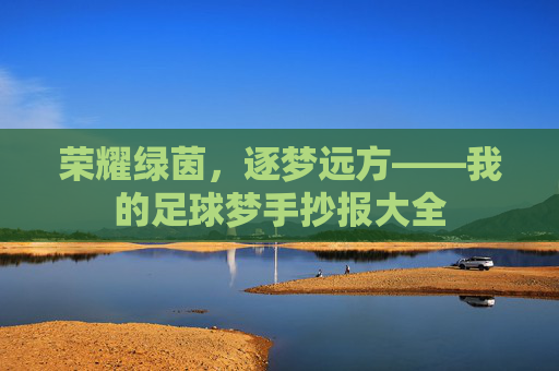 荣耀绿茵,逐梦远方——我的足球梦手抄报大全
