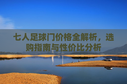 七人足球门价格全解析,选购指南与性价比分析