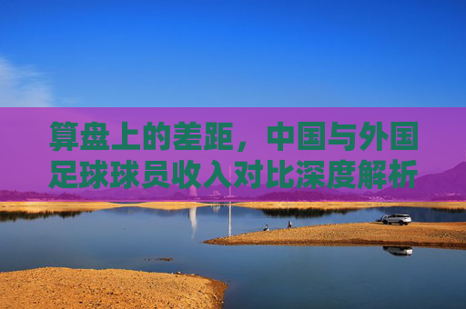 算盘上的差距,中国与外国足球球员收入对比深度解析