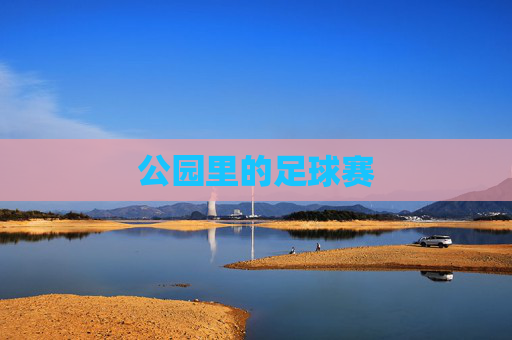 公园里的足球赛