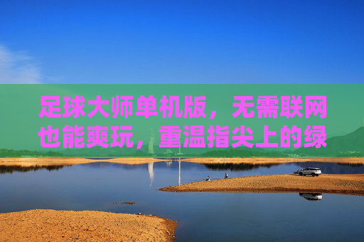 足球大师单机版,无需联网也能爽玩,重温指尖上的绿茵传奇