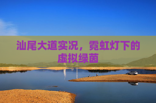 汕尾大道实况,霓虹灯下的虚拟绿茵