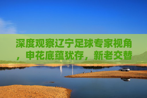 深度观察辽宁足球专家视角,申花底蕴犹存,新老交替中的沪辽情结与未来