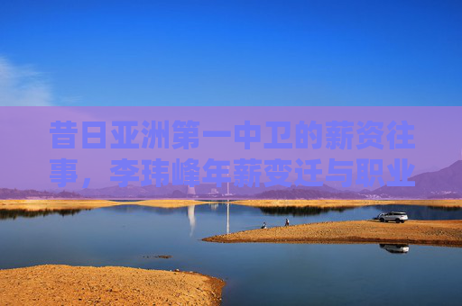 昔日亚洲第一中卫的薪资往事,李玮峰年薪变迁与职业启示
