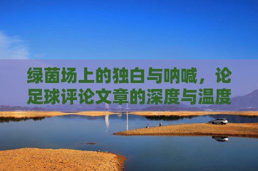 绿茵场上的独白与呐喊,论足球评论文章的深度与温度