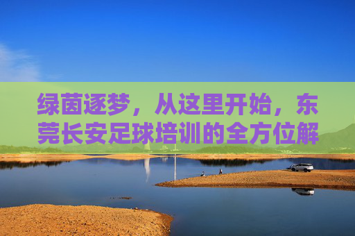 绿茵逐梦,从这里开始,东莞长安足球培训的全方位解析