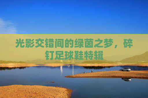 光影交错间的绿茵之梦,碎钉足球鞋特辑