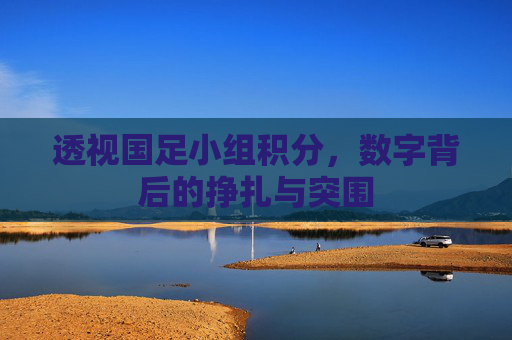 透视国足小组积分,数字背后的挣扎与突围